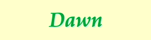 Dawn personal fitness trainer name